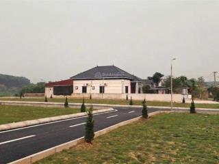 Bán đất tại thị trấn ba hàng đồi, 250 triệu, 50 m2, giá cực chất