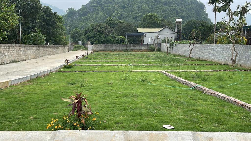 Bán đất thổ cư 103m2 tại phú thành, lạc thủy, hòa bình, giá thỏa thuận
