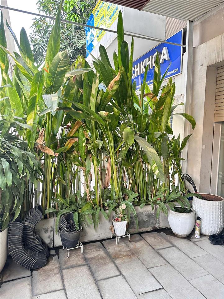 Cho thuê nhà phố merita khang điền, mặt tiền liên phường, 6pn 3wc, tiện ở và làm văn phòng, 30tr/th