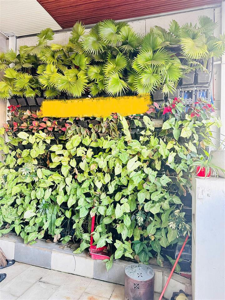 Cho thuê nhà phố merita khang điền, mặt tiền liên phường, 6pn 3wc, tiện ở và làm văn phòng, 30tr/th