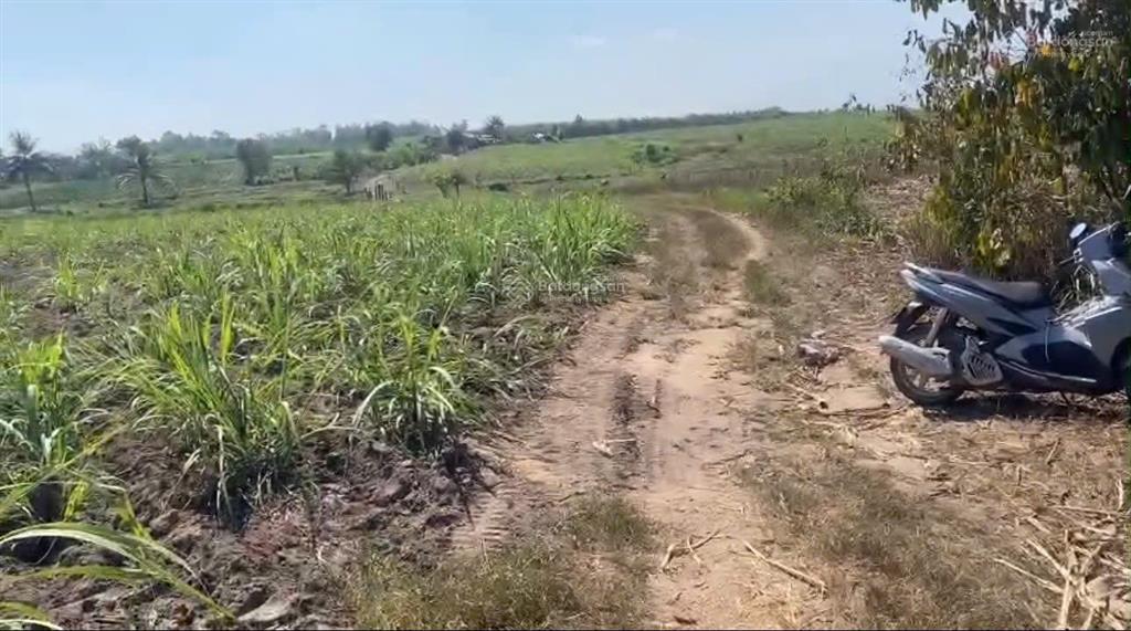 Cần đẩy nhanh lô đất cách ql 26 chỉ 50m tại thôn xóm mới, xã tây ninh hòa, khánh hòa