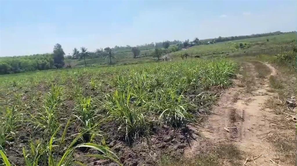 Cần đẩy nhanh lô đất cách ql 26 chỉ 50m tại thôn xóm mới, xã tây ninh hòa, khánh hòa