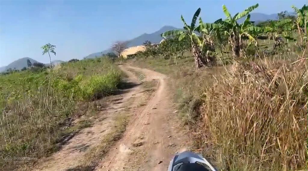 Cần bán đất gần ql 26 tại thôn xóm mới, xã tây ninh hòa, khánh hòa