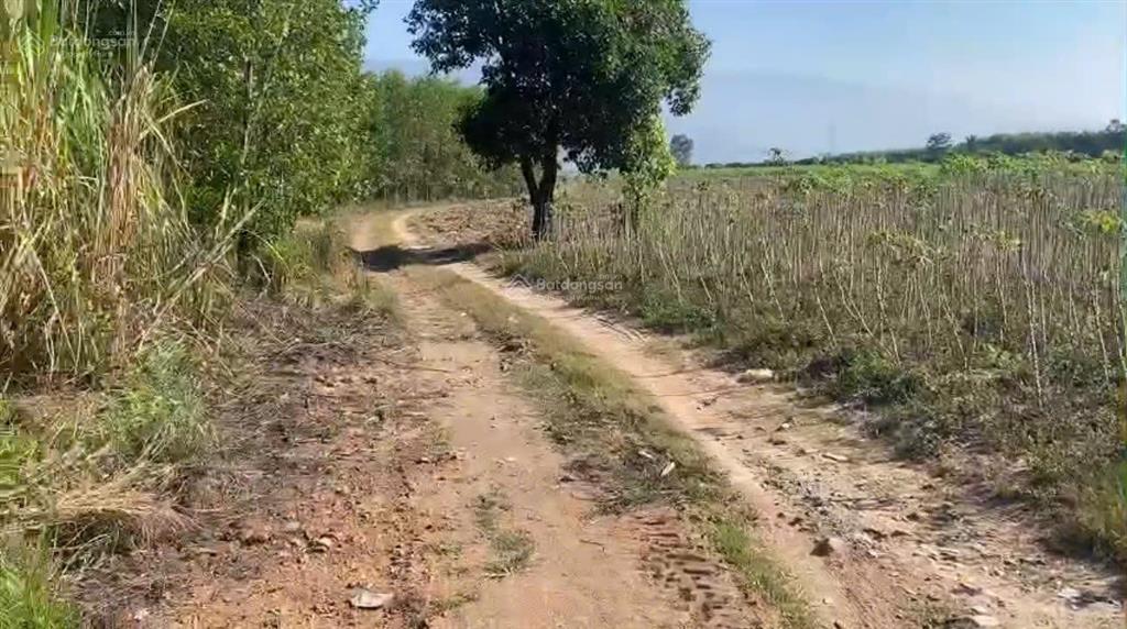 Cần bán đất gần ql 26 tại thôn xóm mới, xã tây ninh hòa, khánh hòa