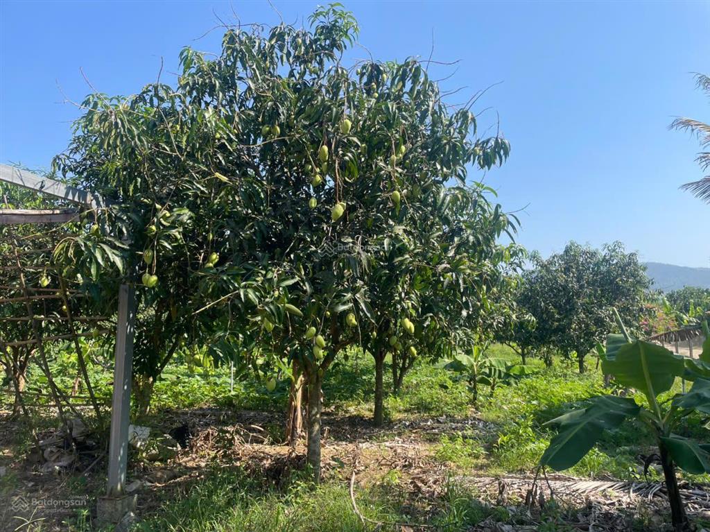 Bán lô đất vườn tại thôn suối thơm, xã khánh đông, huyện khánh vĩnh