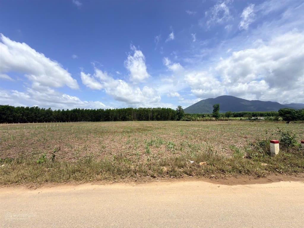 Bán đất dt 2.325 m2 thôn 5  diên đồng (nay là diên lâm)  diên khánh