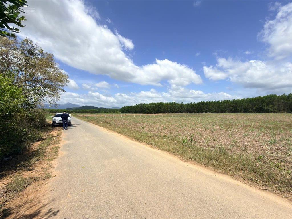 Bán đất dt 2.325 m2 thôn 5  diên đồng (nay là diên lâm)  diên khánh