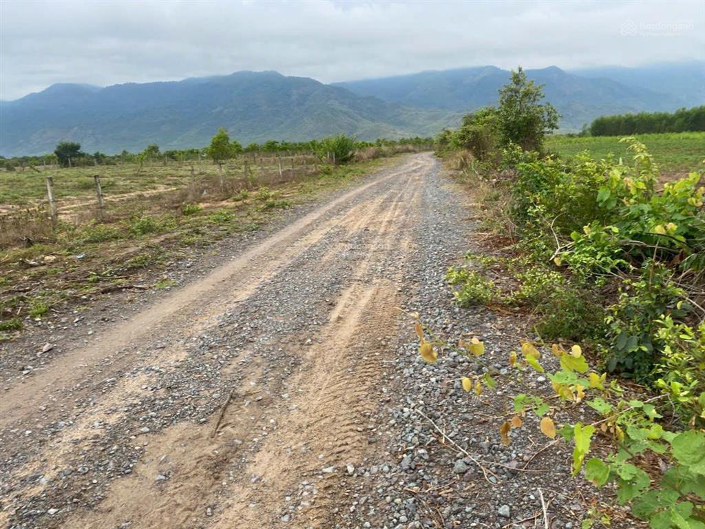Cần đẩy nhanh lô đất thổ cư cách ql 26 chỉ 40m tại thôn xóm mới, xã tây ninh hòa, khánh hòa