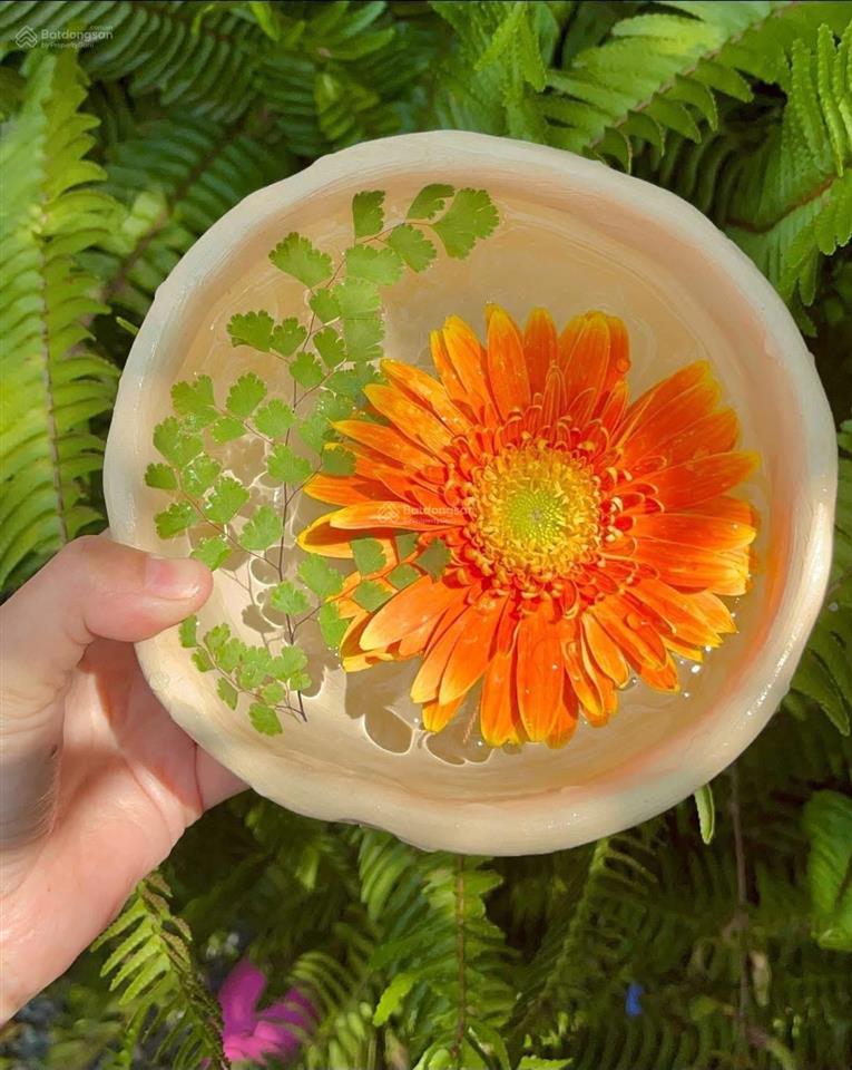 Bán căn hộ lê thành có sổ hồng lâu dài