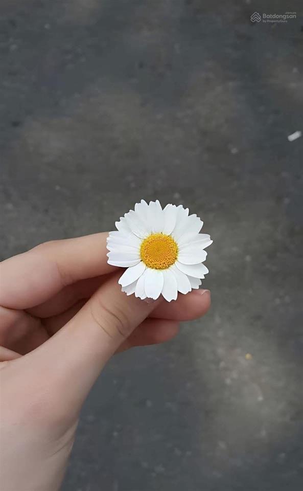 Bán căn hộ lê thành b có sổ hồng lâu dài