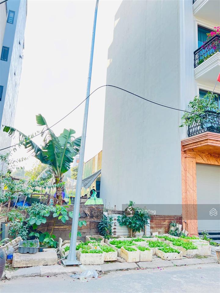 Bán đất dịch vụ phú vinh 45m², mặt tiền 4,35m. gần vành đai 3.5 và 4. tiềm năng tăng giá cao