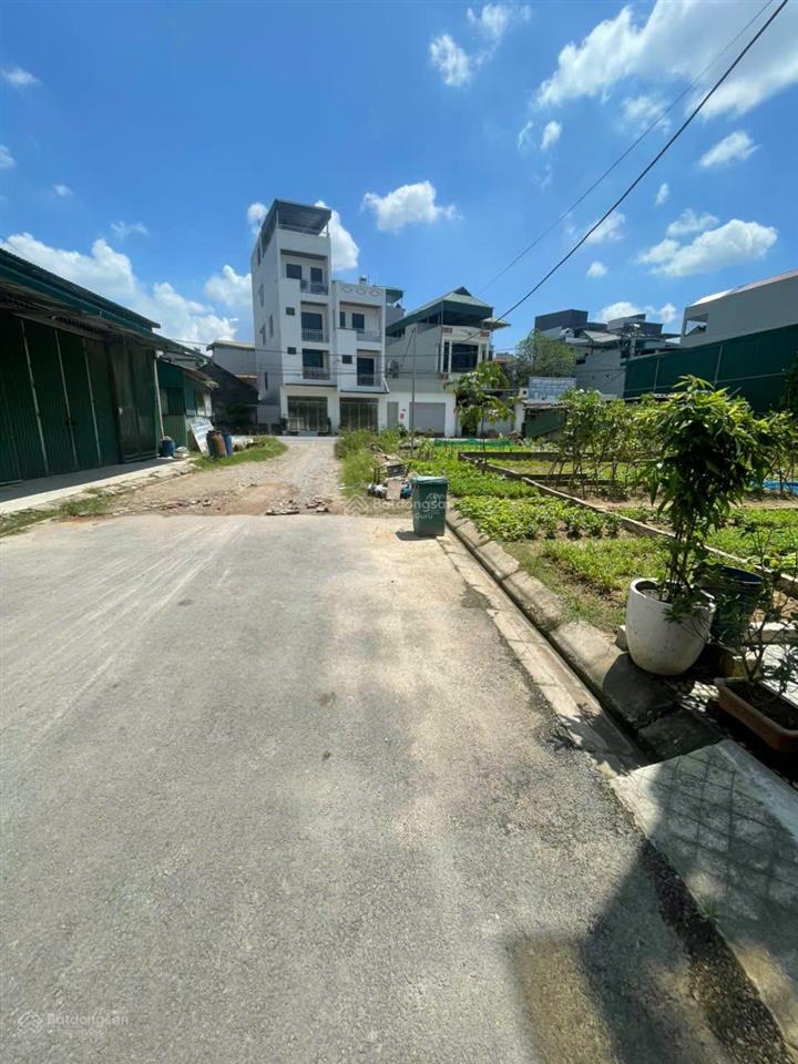 Bán đất dịch vụ phú vinh 45m² mặt tiền 4,61m ô đẹp cạnh splendora