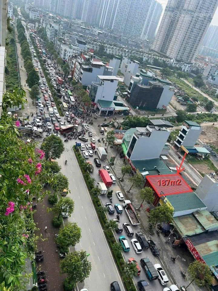 Bán đất dịch vụ nam an khánh 187,2m2, mt 14,41m đường 39m kinh doanh