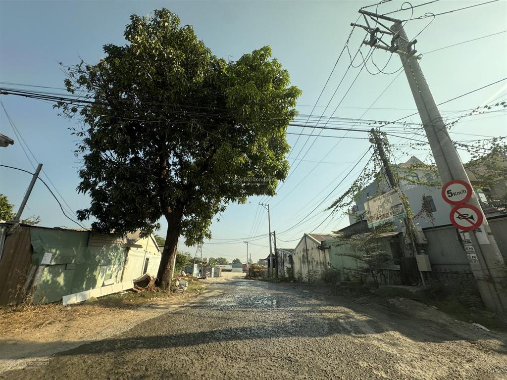 Bán đất tại đường bê tông 620, phường bình an, dĩ an, bình dương, 62 tỷ, 700m2, 300m2 thổ cư