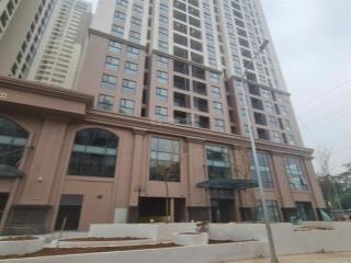 Hot dự án mới the charm an hưng chào thuê mbtm siêu đẹp làm cafe, spa, siêu thị, 24/7 chỉ 300k/m2