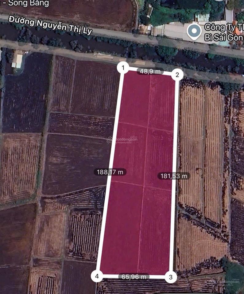 Cần bán nhanh 11000m2 đất tại nguyễn thị ly hóc môn, làng đại học, sổ hồng, pháp lý chuẩn giá 24 tỷ