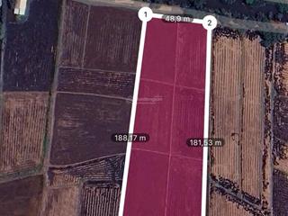 Cần bán nhanh 11000m2 đất tại nguyễn thị ly hóc môn, làng đại học, sổ hồng, pháp lý chuẩn giá 24 tỷ