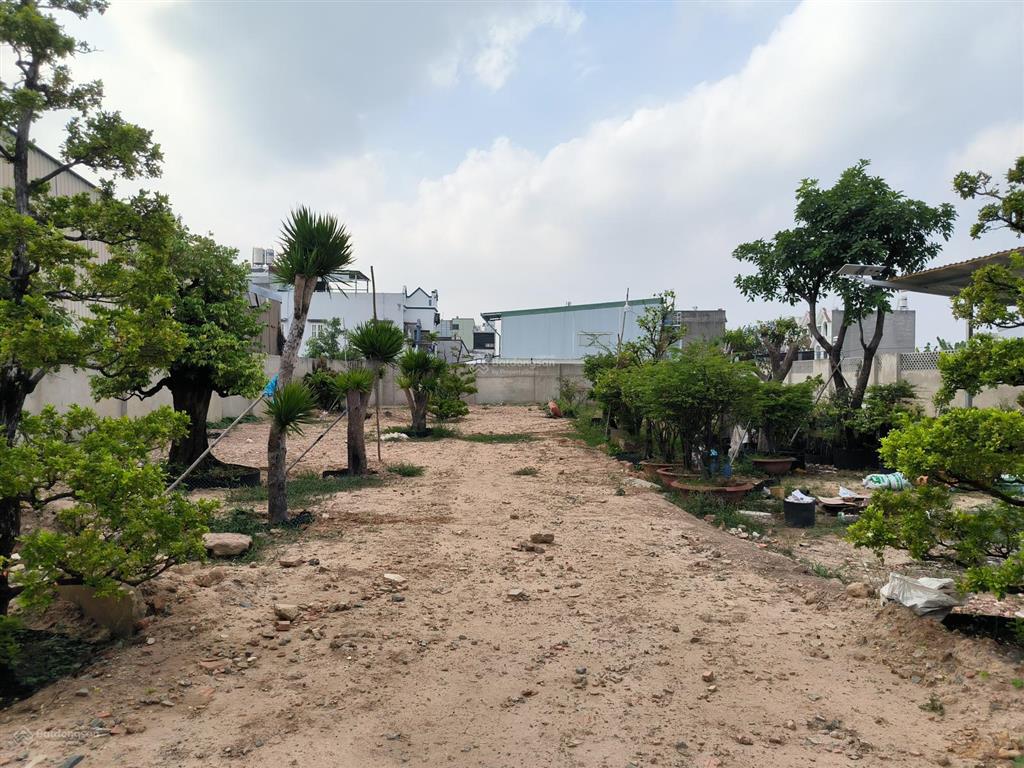 Chỉ cần setup là kinh doanh  view sông giao khẩu "siêu chill"