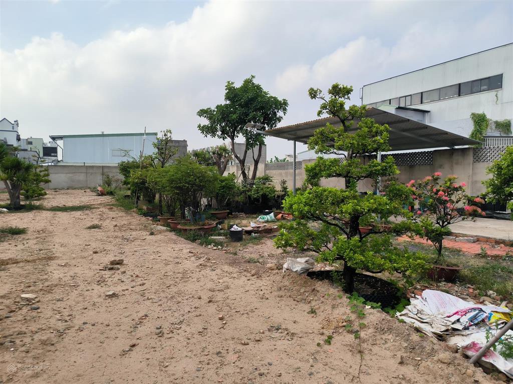 Chỉ cần setup là kinh doanh  view sông giao khẩu "siêu chill"