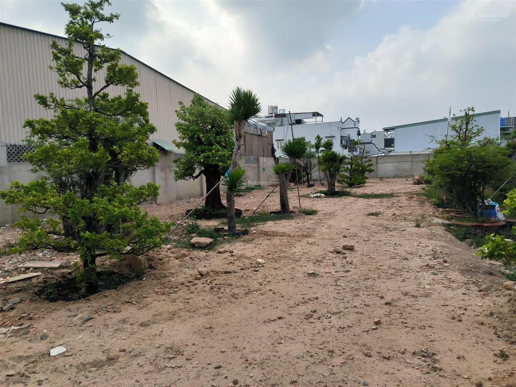 Chỉ cần setup là kinh doanh  view sông giao khẩu "siêu chill"