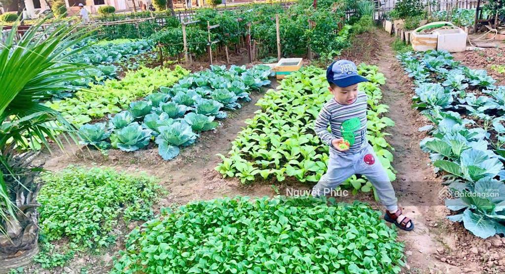 Giá chuẩn. mình bán nhà tặng vườn rau sạch. cc tp giao lưu phạm văn đồng, 76.2m2.  0946 116 ***