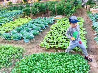 Giá chuẩn. mình bán nhà tặng vườn rau sạch. cc tp giao lưu phạm văn đồng, 76.2m2.  0946 116 ***