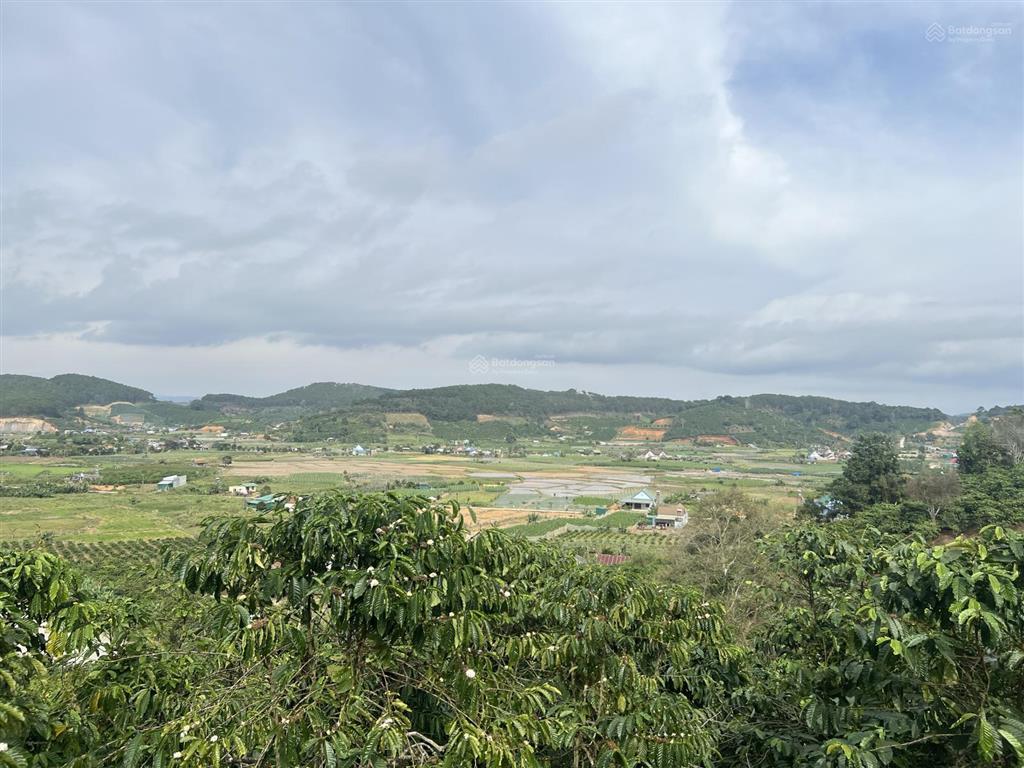 Bán đất quốc lộ 28b, 6,268 tỷ, 2384.3m2, hàng hiếm tại ninh loan, đức trọng, lâm đồng