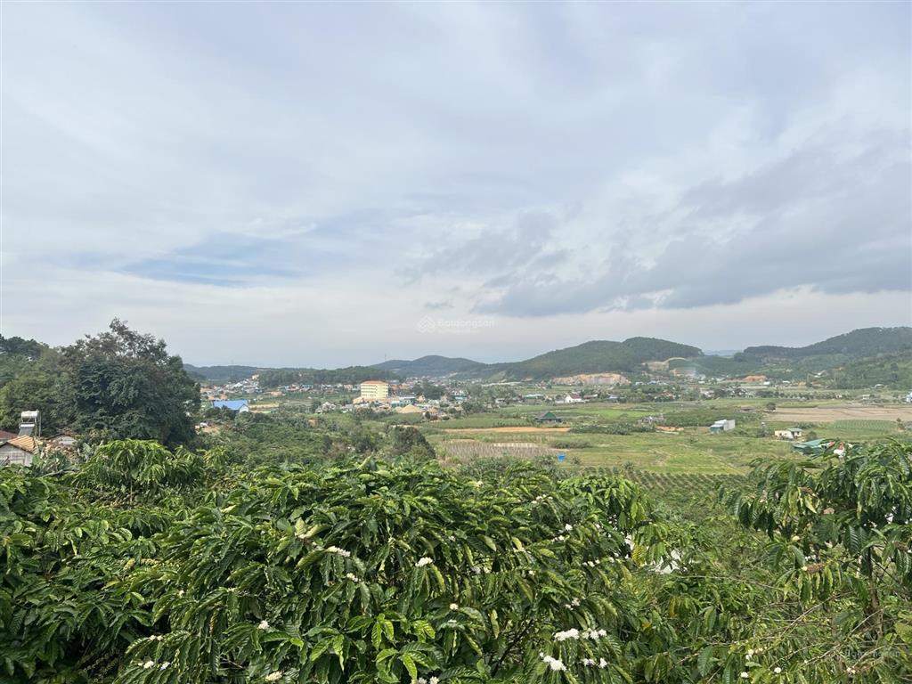 Bán đất quốc lộ 28b, 6,268 tỷ, 2384.3m2, hàng hiếm tại ninh loan, đức trọng, lâm đồng