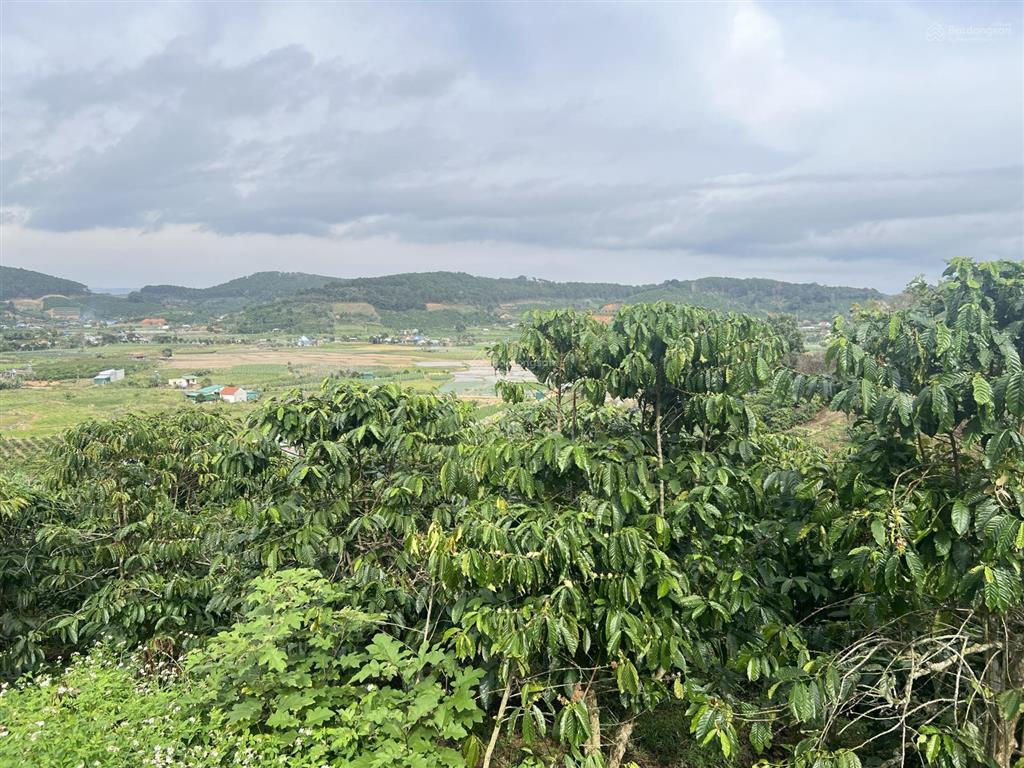 Bán đất quốc lộ 28b, 6,268 tỷ, 2384.3m2, hàng hiếm tại ninh loan, đức trọng, lâm đồng