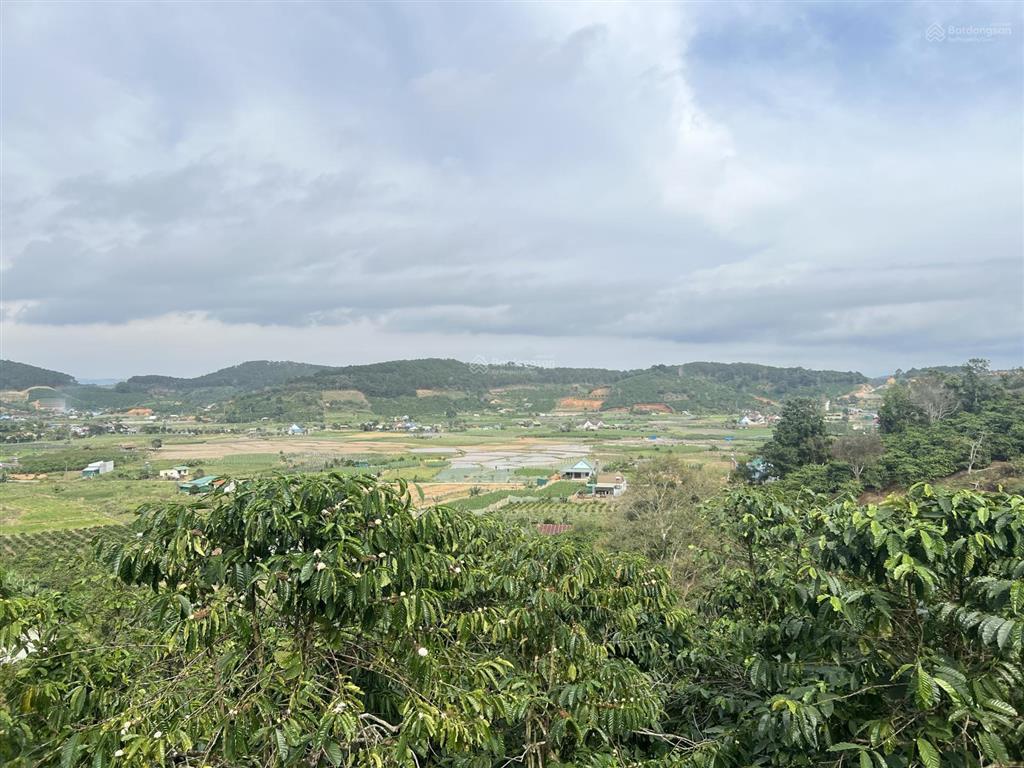 Bán đất quốc lộ 28b, 6,268 tỷ, 2384.3m2, hàng hiếm tại ninh loan, đức trọng, lâm đồng
