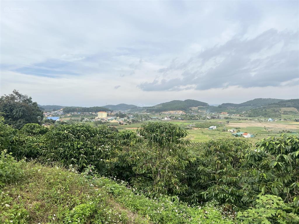 Bán đất quốc lộ 28b, 6,268 tỷ, 2384.3m2, hàng hiếm tại ninh loan, đức trọng, lâm đồng