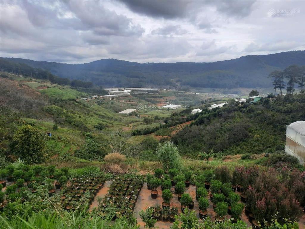 Bán trang trại khu nghỉ dưỡng tại đường mimosa, p10, đà lạt, lâm đồng, 66 tỷ, 21062.47m²