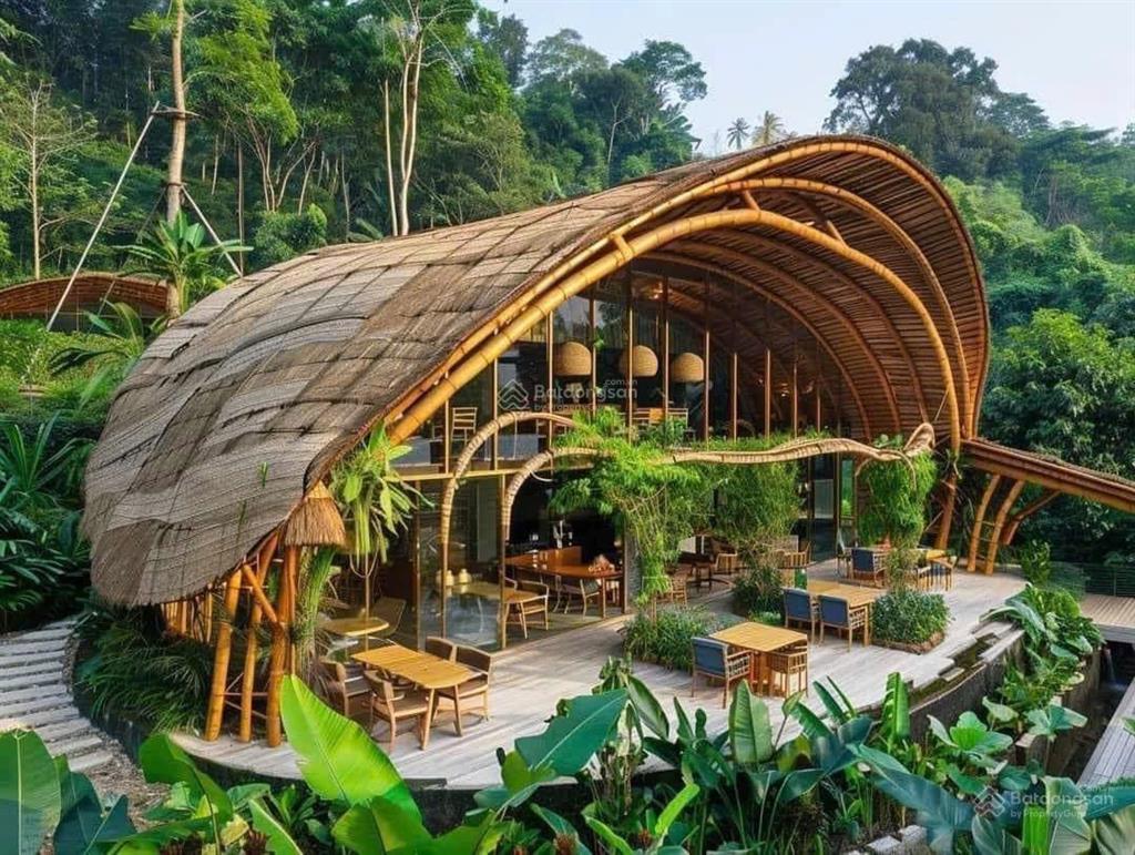 Dt 6.000m2 quy hoạch full thổ cư view toàn cảnh  giáp rừng thông