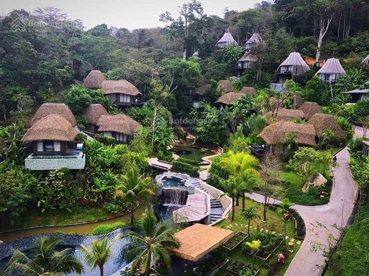 Dt 6.000m2 quy hoạch full thổ cư view toàn cảnh  giáp rừng thông