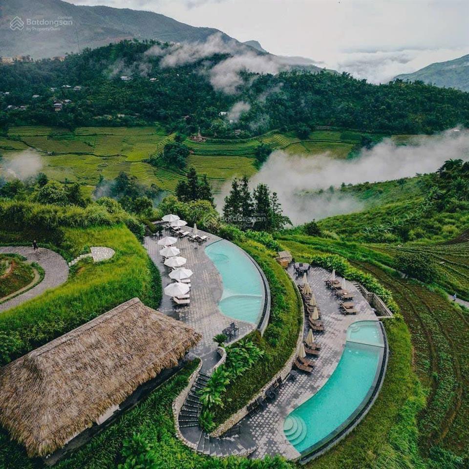 Dt 6.000m2 quy hoạch full thổ cư view toàn cảnh  giáp rừng thông