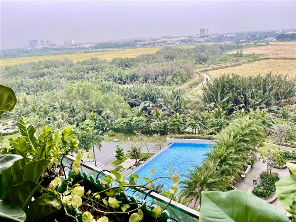1pn thủ thiêm dragon sổ hồng sẵn