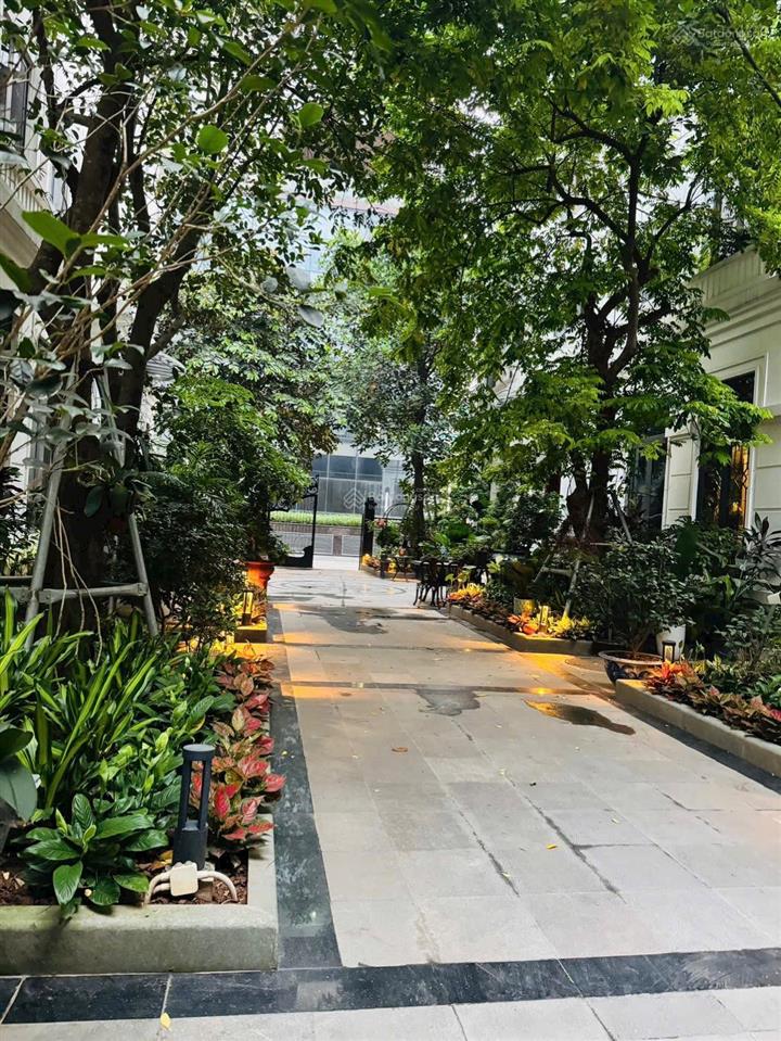 Đẳng cấp thượng lưu bt nhà vườn khu vip nguyễn tuân dt 101m*5t*7mt 44,5 tỷ có thương lượng