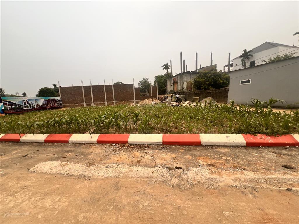 Cần bán gấp lô đất 84m mặt tiền 6m tại trường sĩ quan đặc công 1.3tỷ  bao sổ  bao giấy tờ