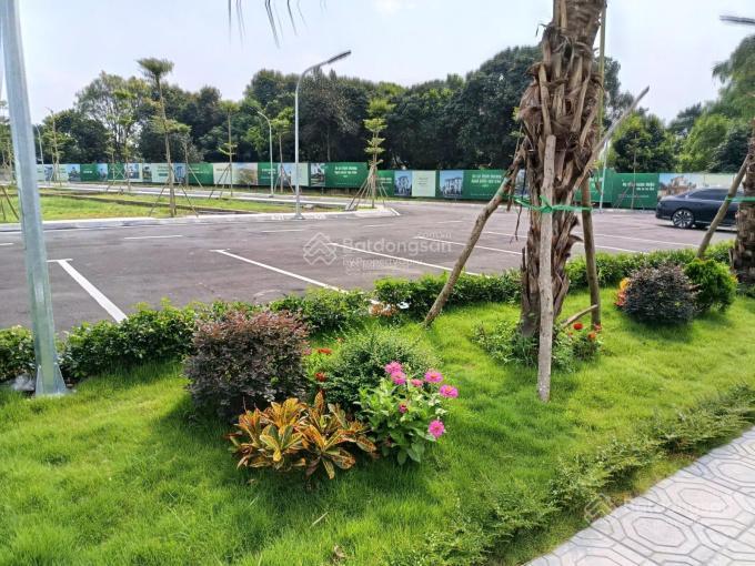 Em cần bán lô đất 100m ,mt 5m ,giá 1.8 tỷ ,sẵn sổ ,phường tùng thiện sơn tây