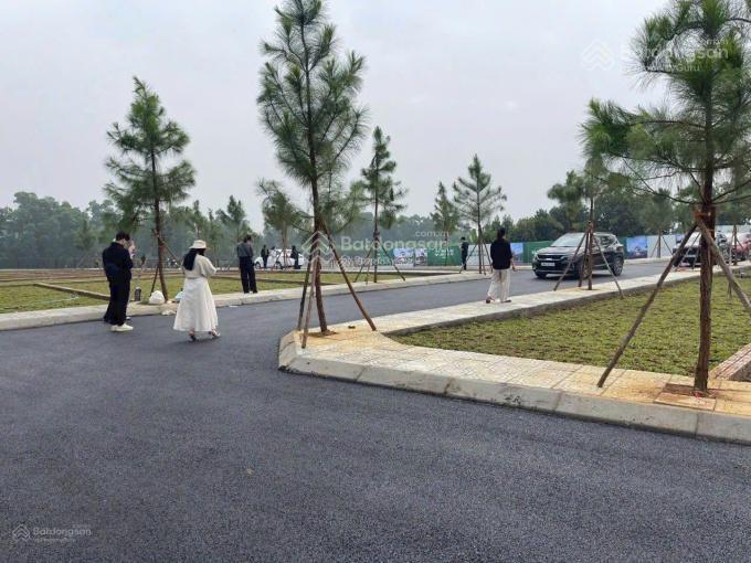 Em cần bán lô đất 100m ,mt 5m ,giá 1.8 tỷ ,sẵn sổ ,phường tùng thiện sơn tây