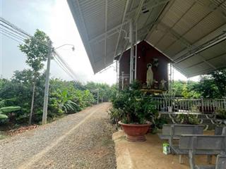 Bán đất nền cực chất tại đường đông kim, 1,48 tỷ, 2800m2
