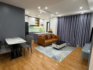 Bán cc rice city linh đàm, 4,95 tỷ, 60m2, căn góc cực chất!