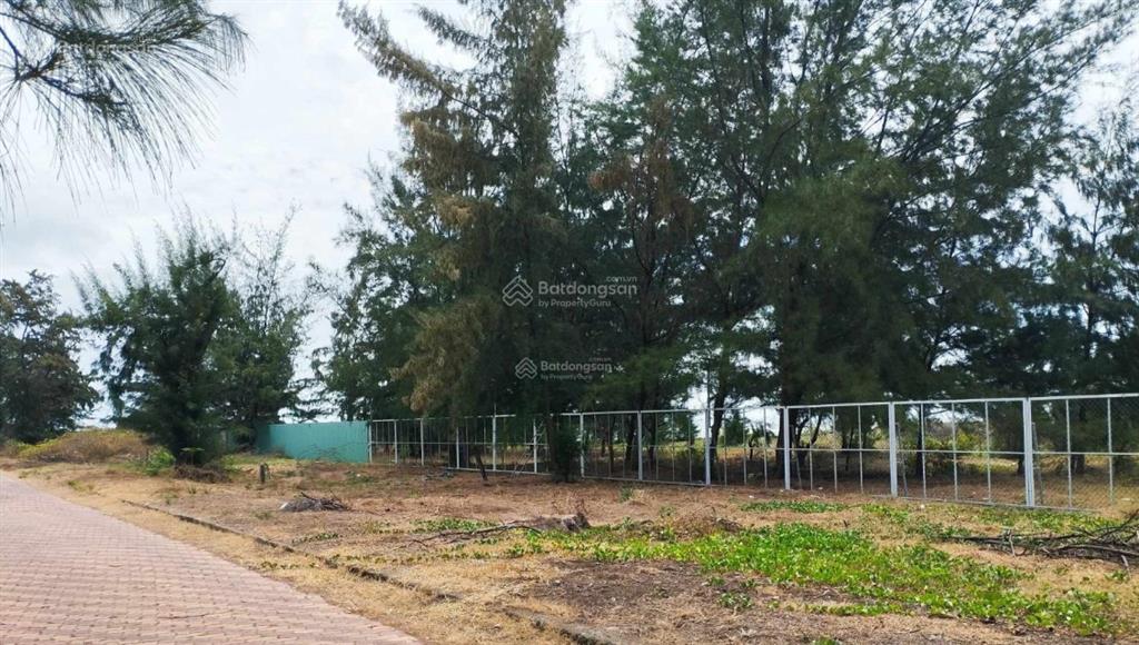 Hàng hiếm đối diện dự án vin cần giờ, đường phan đức, 4,500m2, giá thỏa thuận, cần giờ