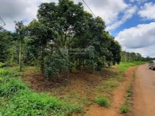 Bán lô đất 2000m2 tại tổ 4, nơ trang lơng, phường nghĩa đức, tp. gia nghĩa, t. đắk nông. giá 8 tỷ