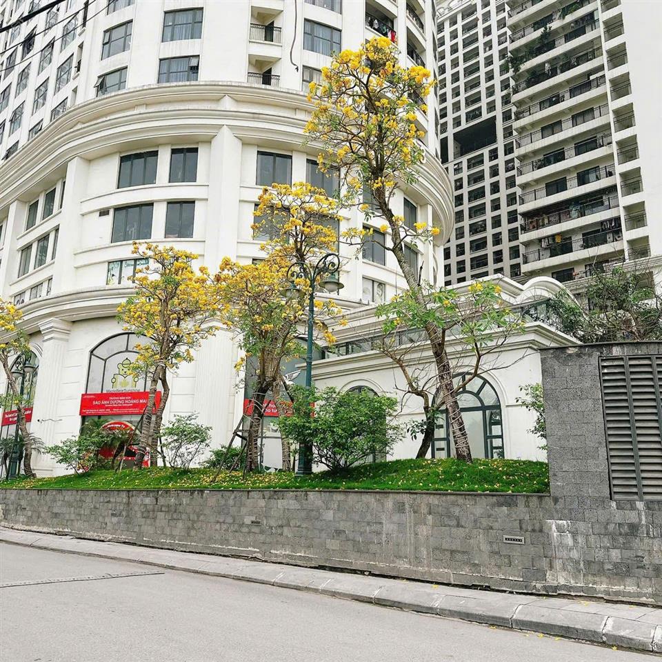 Cho thuê hộ 3n full đồ xịn giá chỉ 15tr/th tại cc sunshine garden  cạnh time city cực rẻ