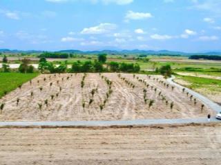 Đất buôn sim ninh tây, ninh hòa. diện tích 1000m2 (đất cây lâu năm) đường ô tô tới tận