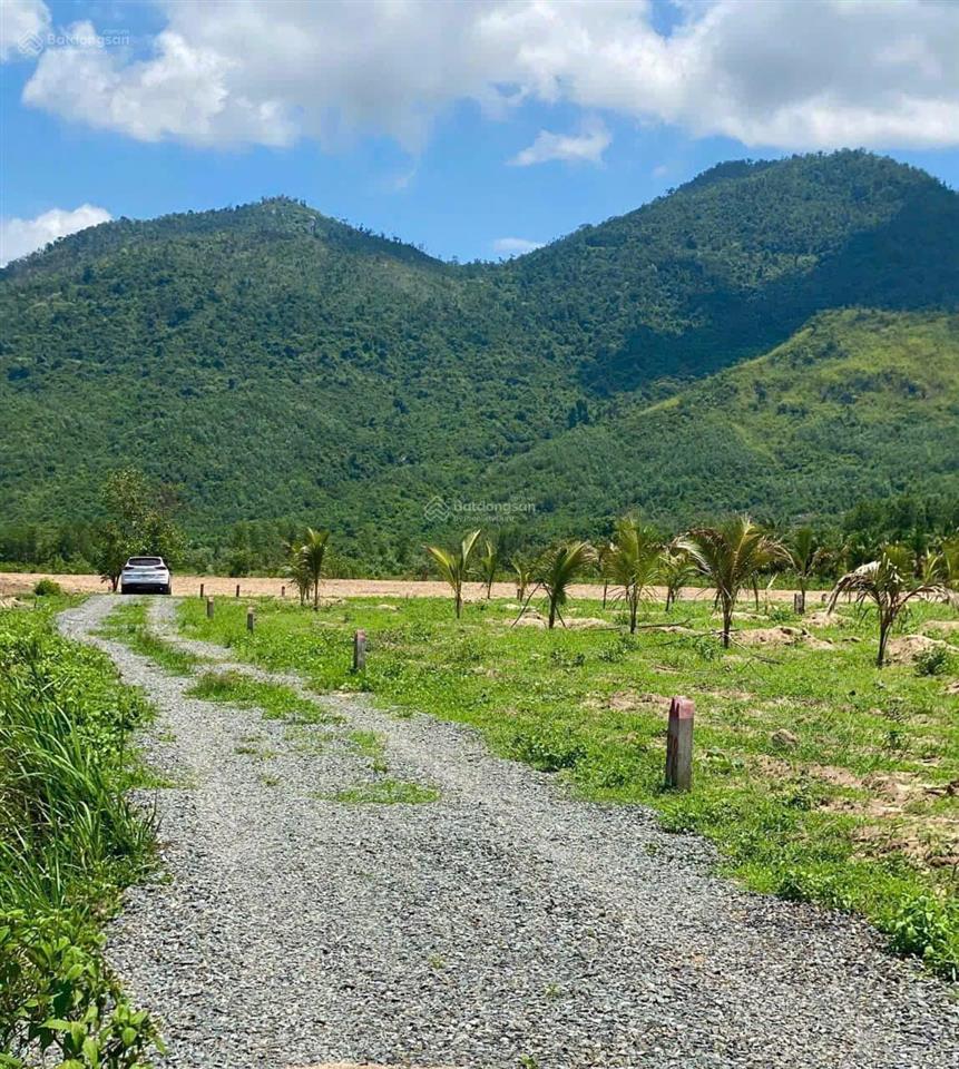 Đất buôn sim ninh tây, ninh hòa. diện tích 1000m2 (đất cây lâu năm) đường ô tô tới tận