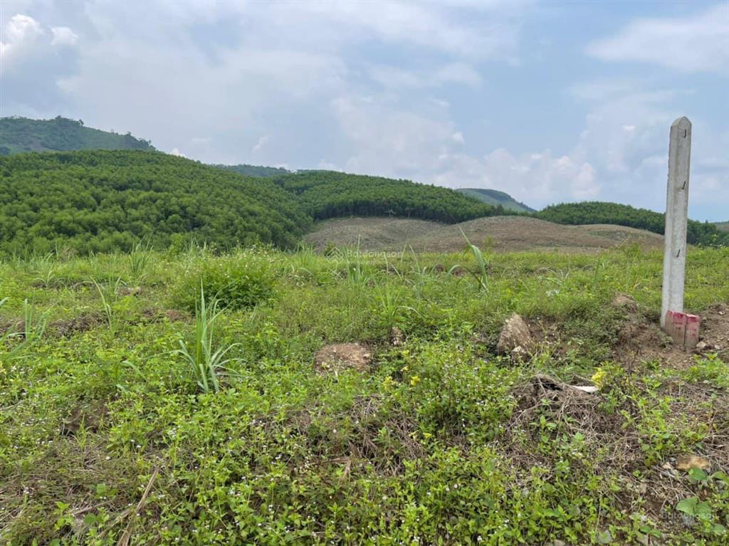 Bán đất khánh nam, khánh vĩnh giá rẻ. vị trí khánh nam khánh vĩnh. diện tích 2.000m2