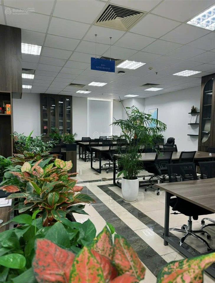 Cho thuê gấp văn phòng tại hapulico complex, 275 nghìn / m2, 200m2