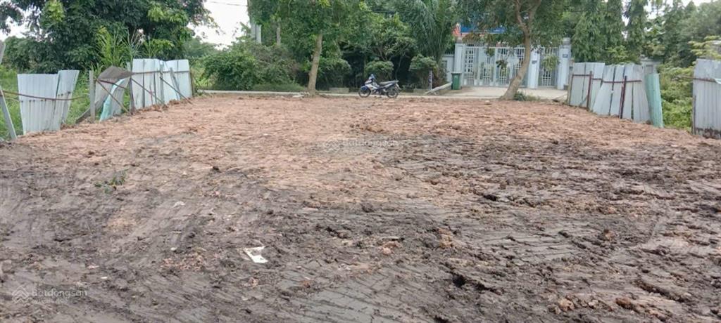 Cho thuê đất dài hạn gần bệnh viện xuyên á củ chi, 390 m2, mặt tiền 15m, 6 triệu/tháng